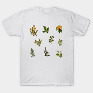 Vintage Botanical pack T-Shirt